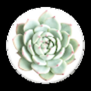 Meet your Posher, Kaylin